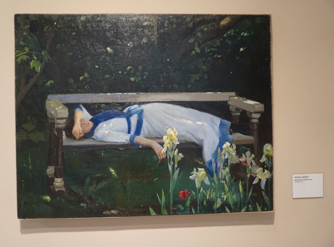 미카엘 안셰르 DSC09630.JPG