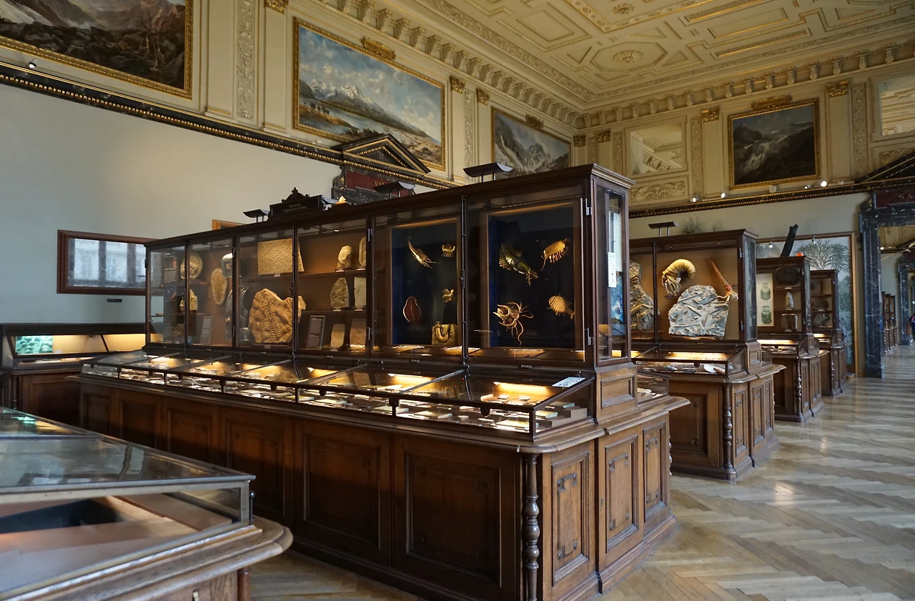 자연사박물관 1.JPG