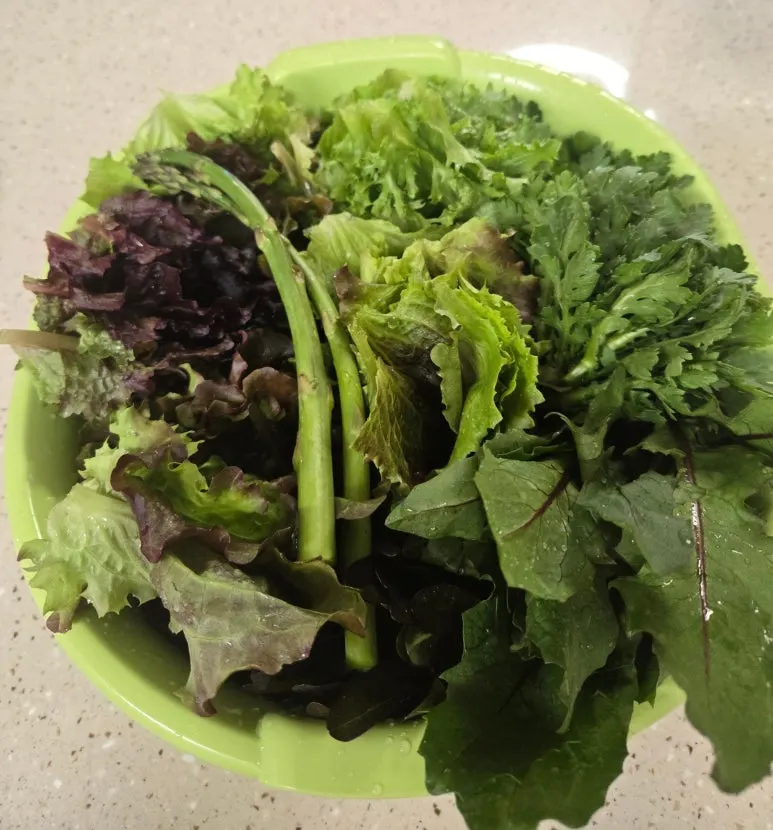 SE-c5ab8351-a256-4c2e-b0ce-6d7ca342f859.jpg?type=w773