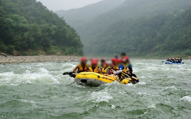 SE-9cf8540a-06c6-4810-ad50-bfa9fa131174.jpg?type=w773