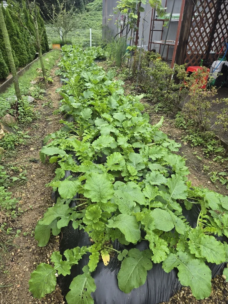 KakaoTalk_20250921_132047203_05.jpg?type=w773