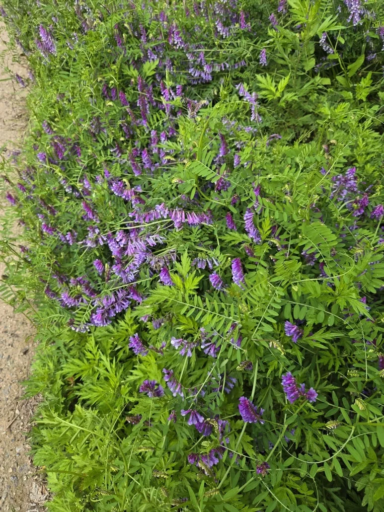 KakaoTalk_20250529_140215492_16.jpg?type=w773