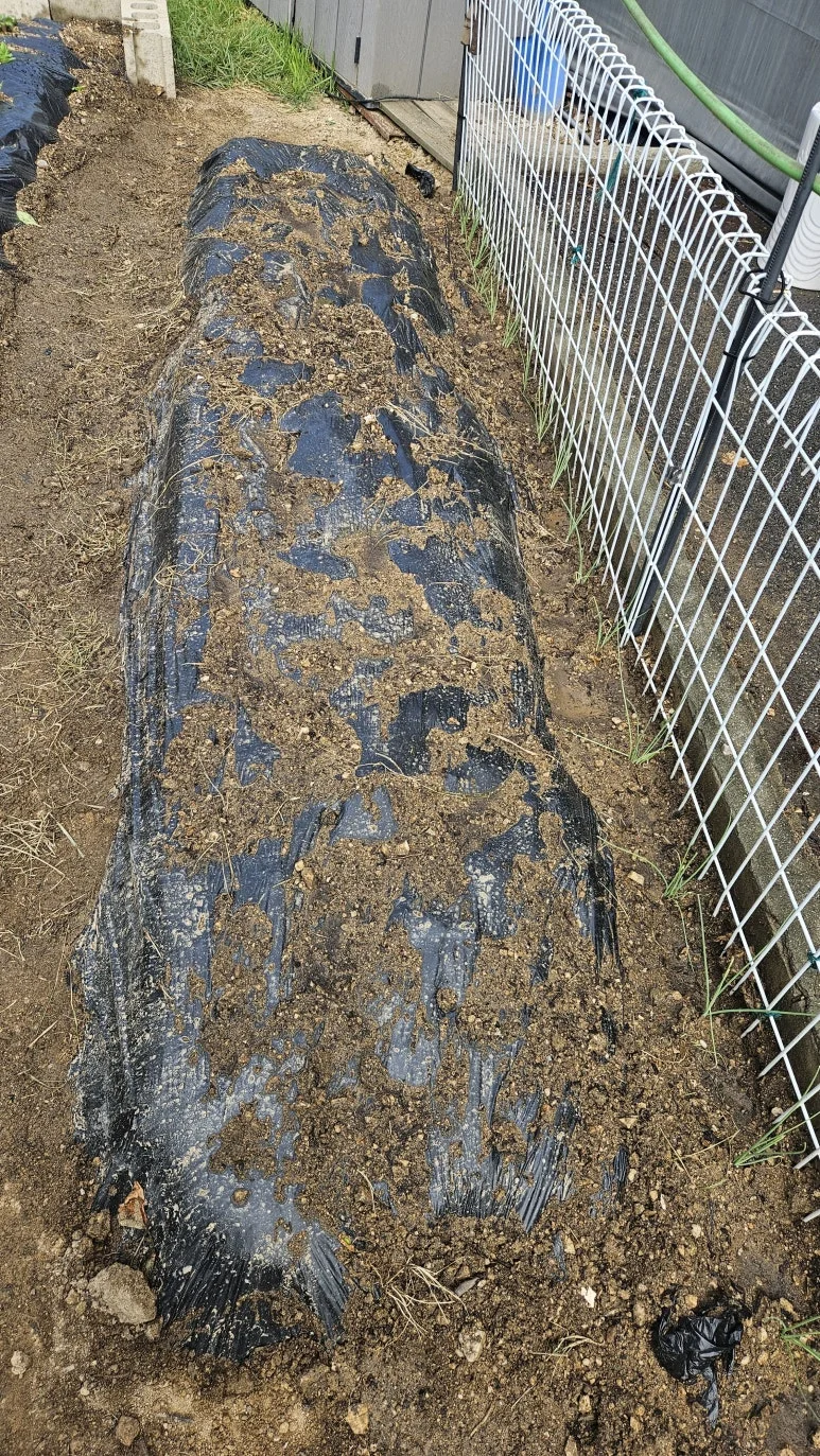 KakaoTalk_20240901_161852965.jpg?type=w773