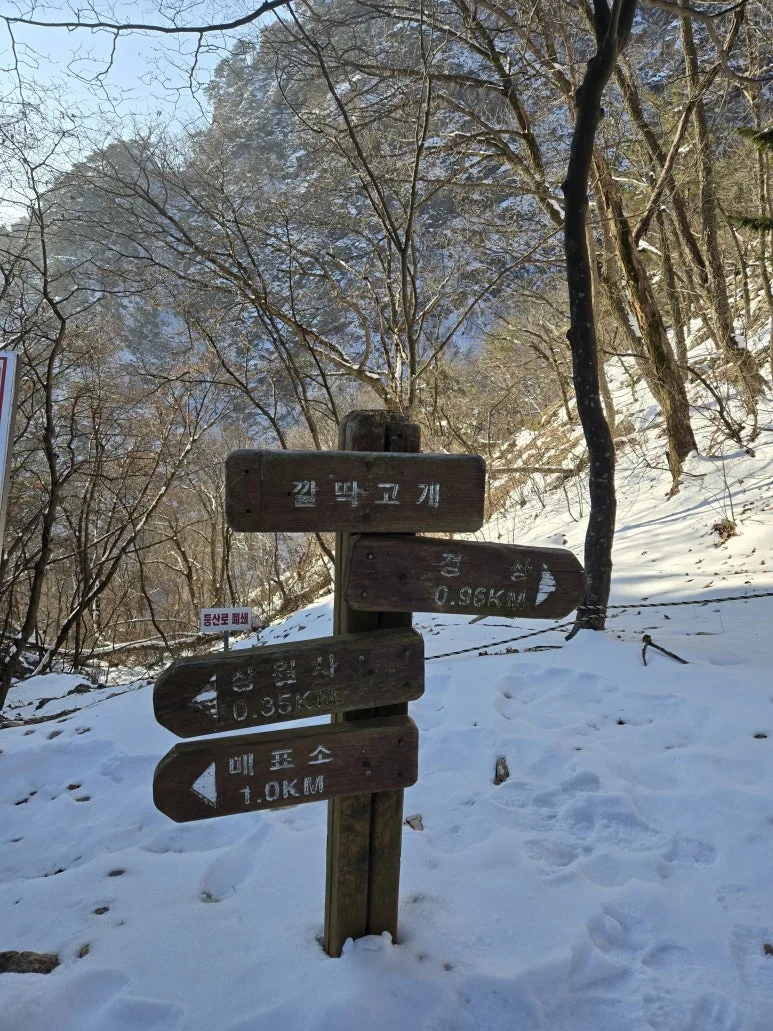 KakaoTalk_20250203_120903483_17.jpg?type=w773