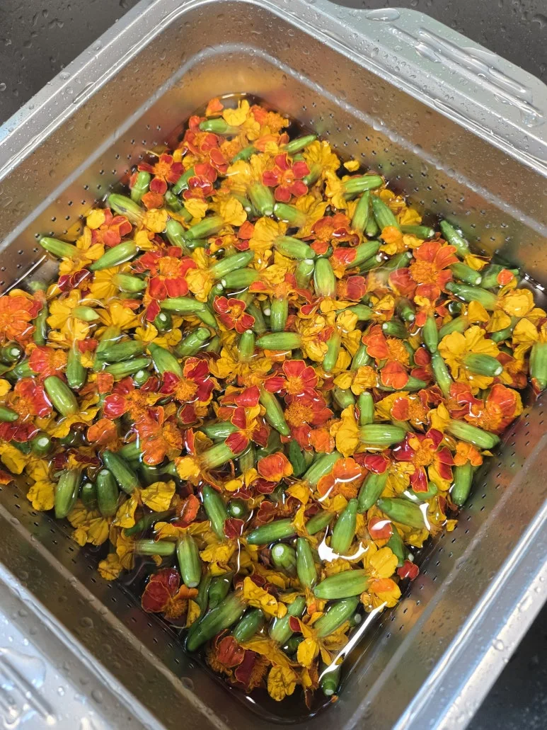 KakaoTalk_20250831_200757766.jpg?type=w773