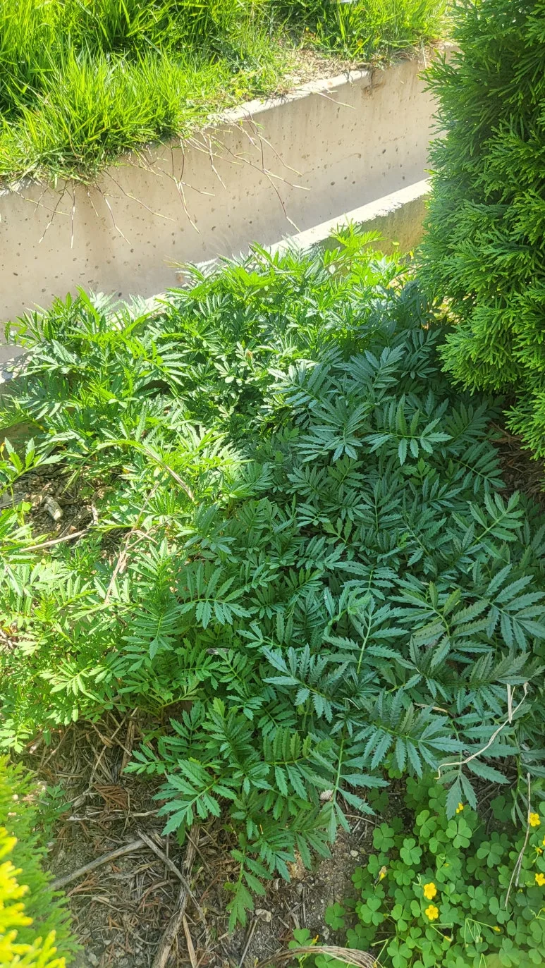 KakaoTalk_20240602_143458836_16.jpg?type=w773