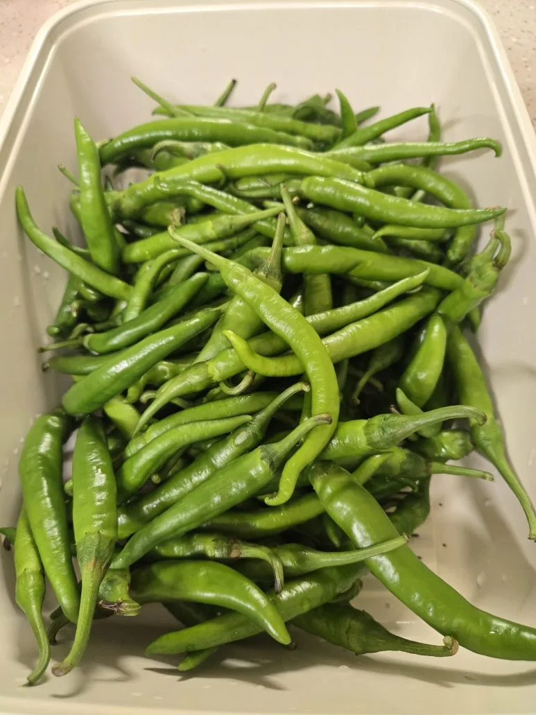 KakaoTalk_20250831_201724007.jpg?type=w773