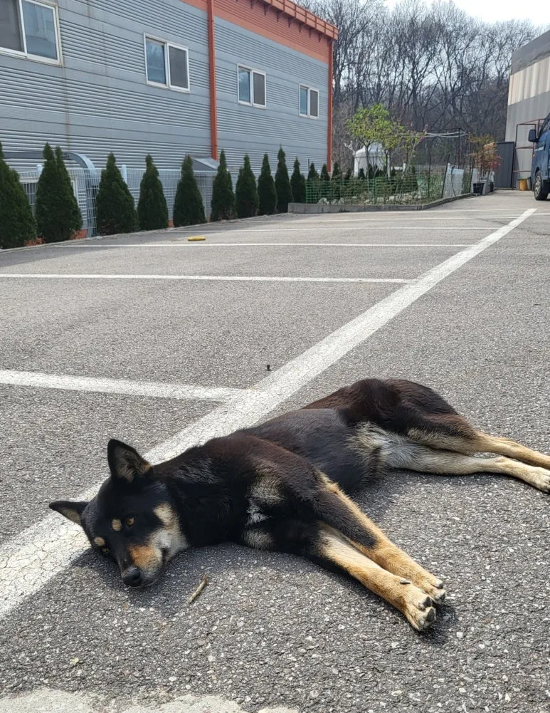 SE-8ea4843a-990e-4163-9cbe-cbd366b2dfbf.jpg?type=w773