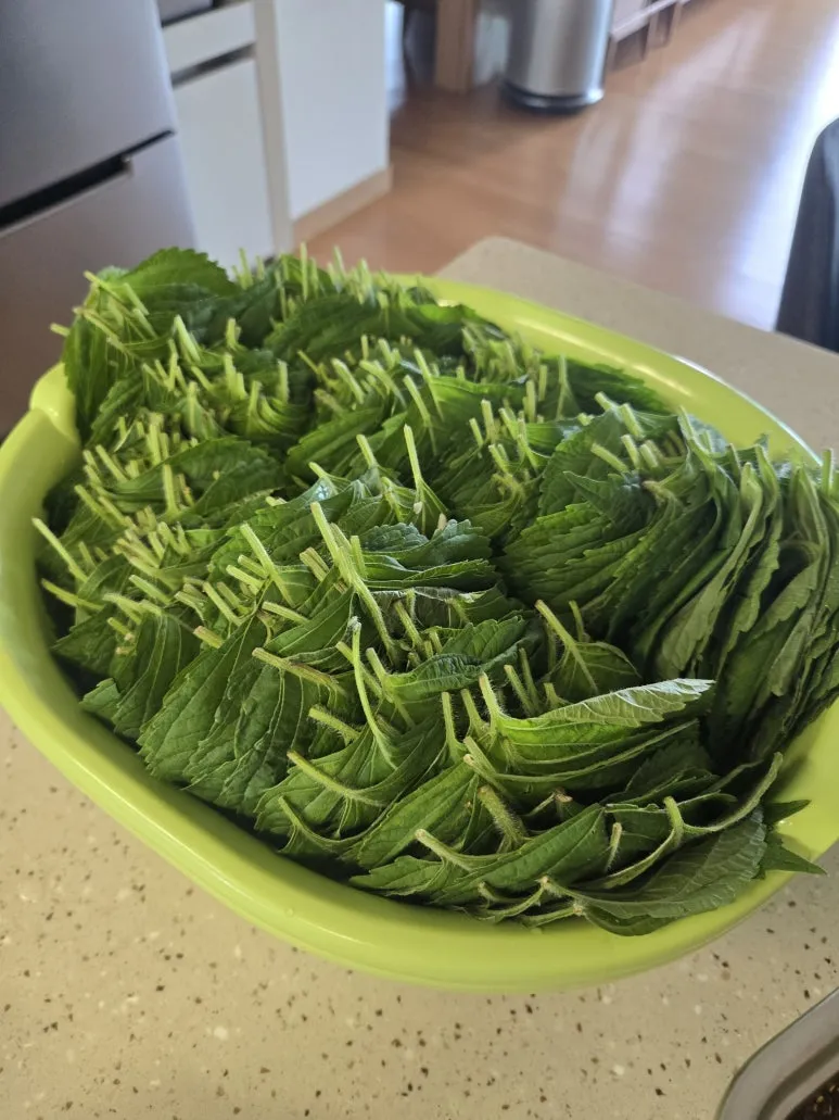 KakaoTalk_20250706_155758685.jpg?type=w773