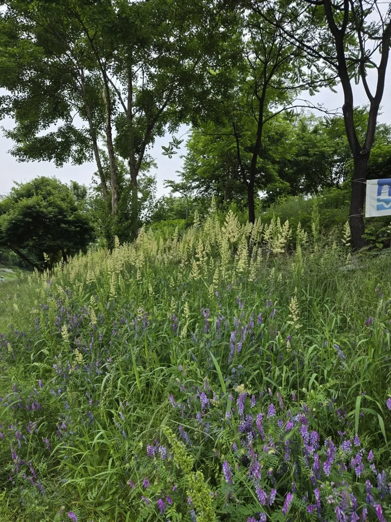 KakaoTalk_20250529_140215492_12.jpg?type=w773