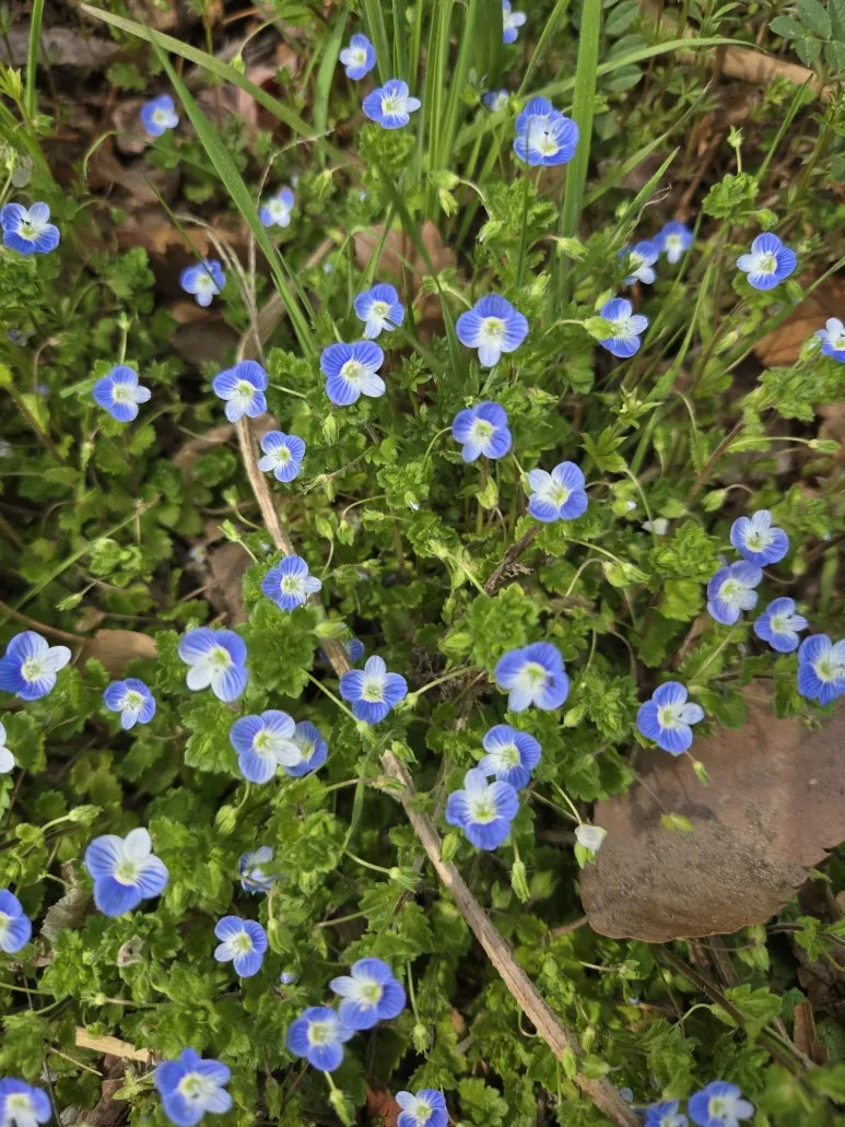 KakaoTalk_20250327_204226448_06.jpg?type=w773