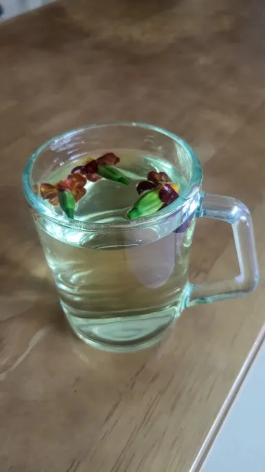 KakaoTalk_20240609_165820824.jpg?type=w386