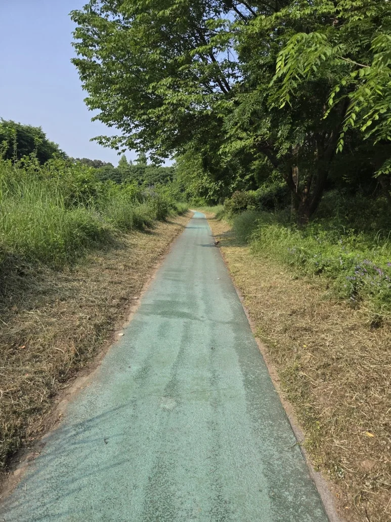 KakaoTalk_20250529_140215492_08.jpg?type=w773