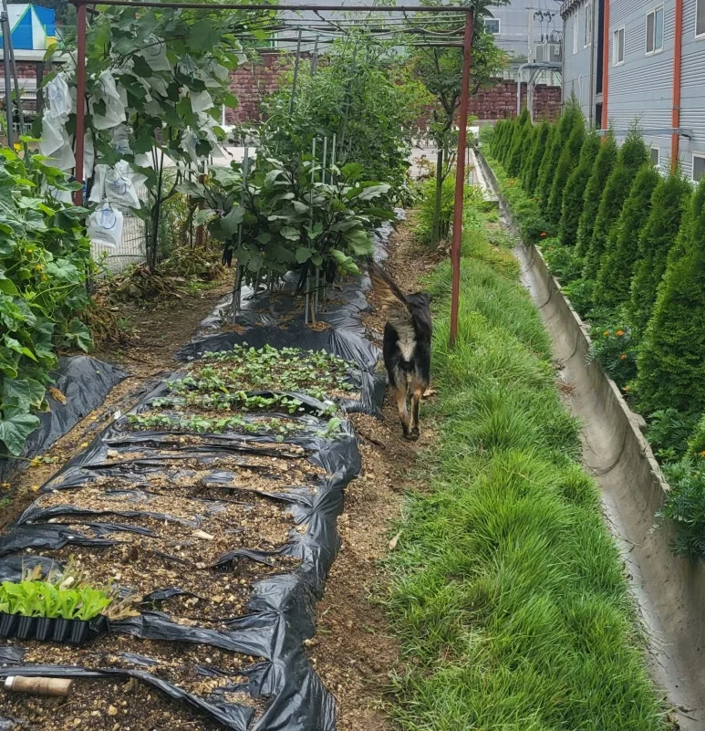 SE-448d31cf-525b-4994-848a-ed9a84ea29db.jpg?type=w773