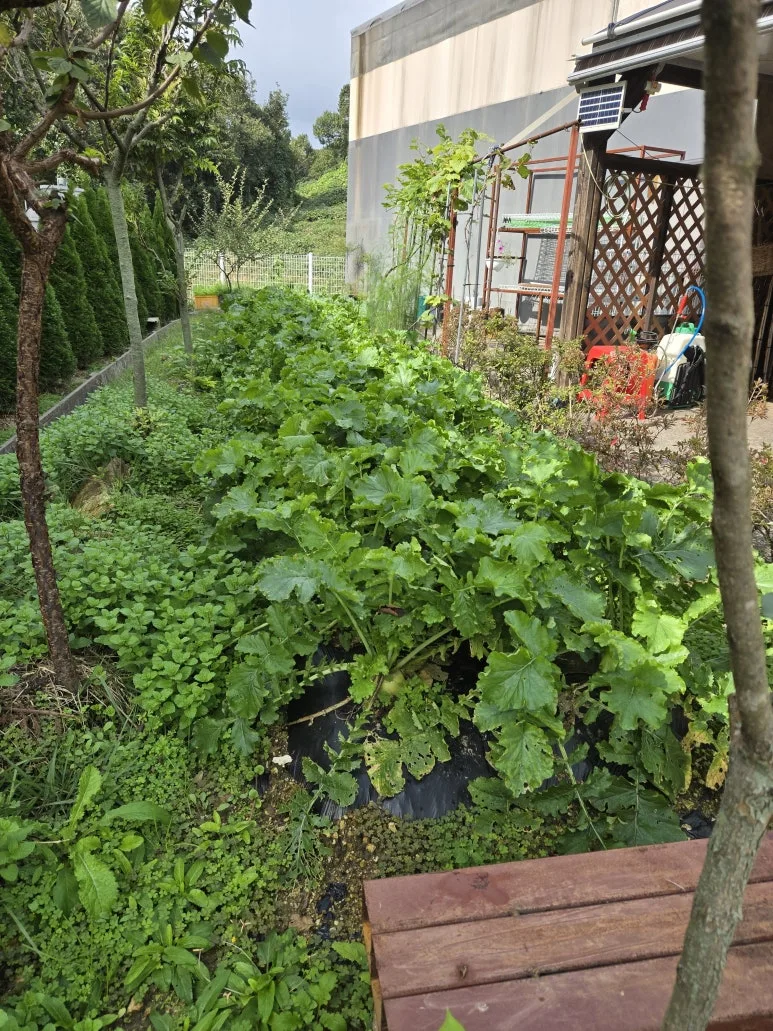 KakaoTalk_20251019_171322809_02.jpg?type=w773