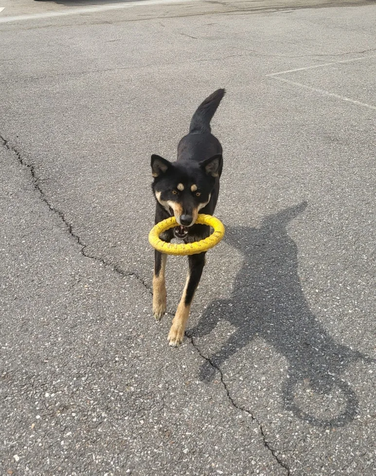 SE-ed541a36-67e4-4425-81c2-a774fdafba9d.jpg?type=w773