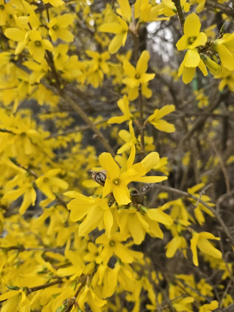 KakaoTalk_20250327_204226448.jpg?type=w773