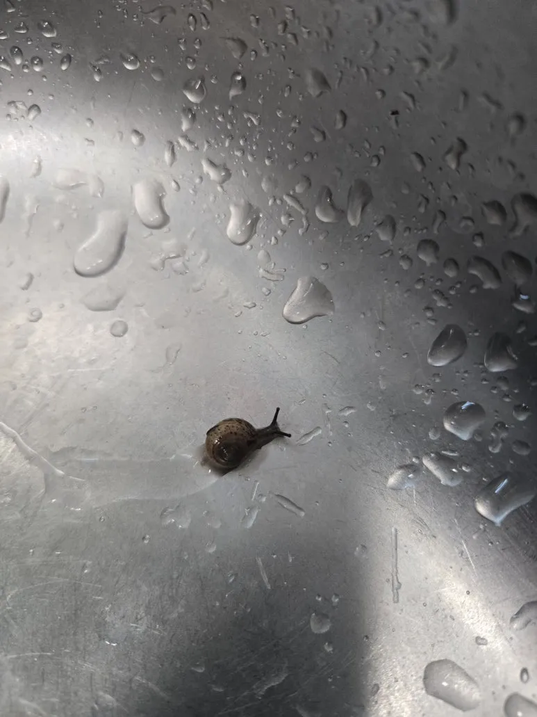 KakaoTalk_20250427_123712835_12.jpg?type=w773