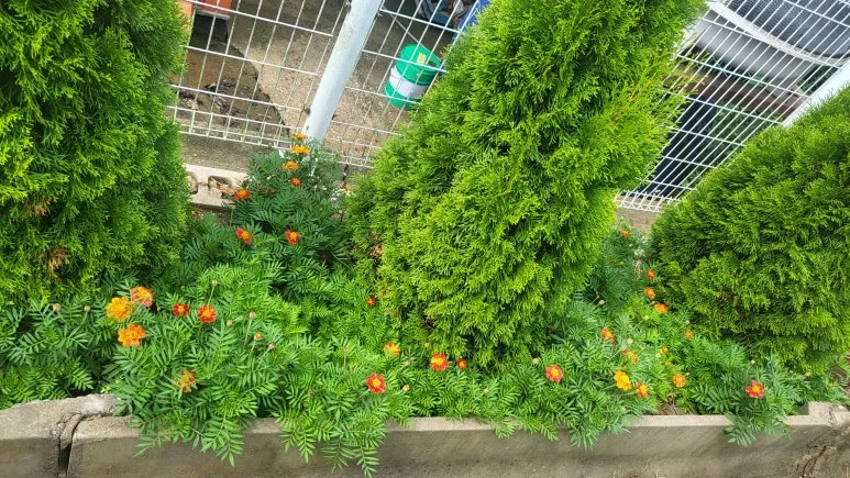 KakaoTalk_20240630_140810350_13.jpg?type=w773