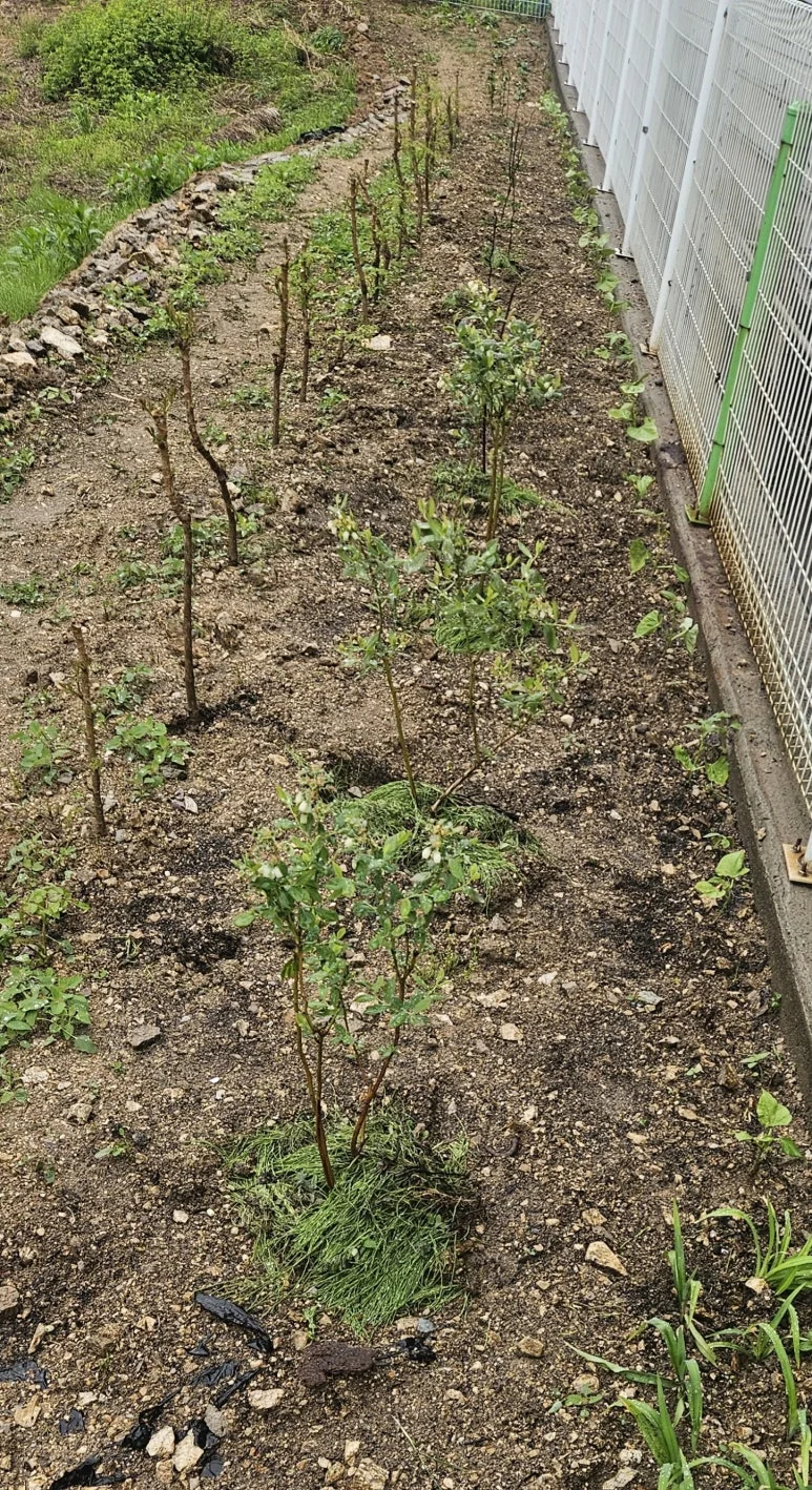 KakaoTalk_20250503_112747067_04.jpg?type=w773