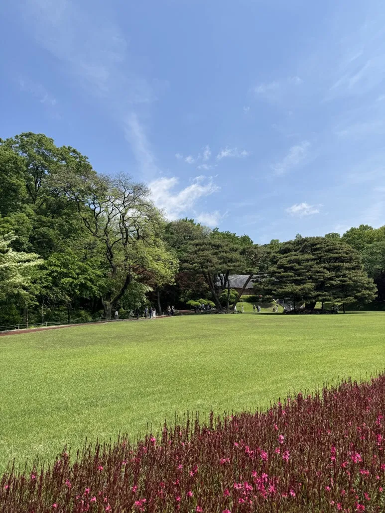 KakaoTalk_20250519_165854483_07.jpg?type=w773