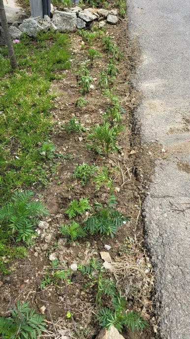 KakaoTalk_20240609_165820824_10.jpg?type=w386