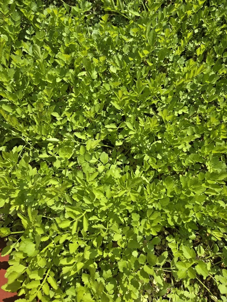 KakaoTalk_20250427_123712835_27.jpg?type=w773