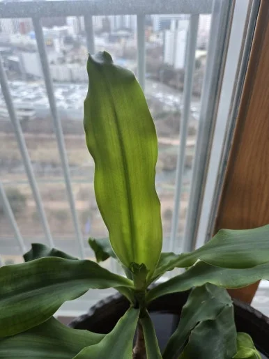 KakaoTalk_20250305_100452078_01.jpg?type=w386