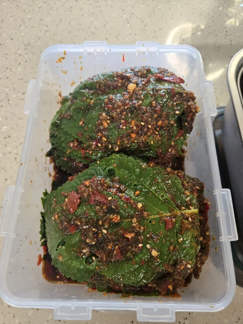 KakaoTalk_20250706_155758685_08.jpg?type=w773