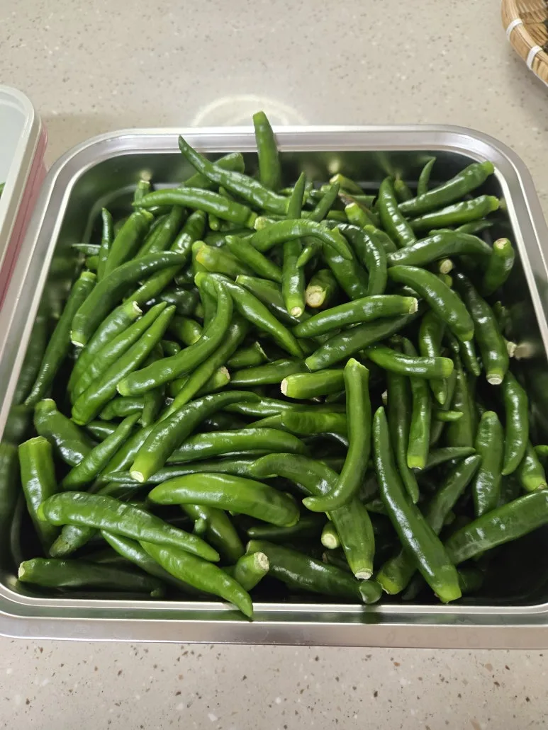 KakaoTalk_20250831_201734931.jpg?type=w773