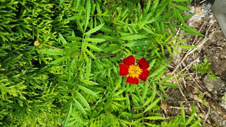 KakaoTalk_20240609_165820824_04.jpg?type=w773