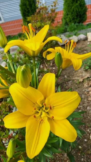 KakaoTalk_20240609_165820824_13.jpg?type=w386