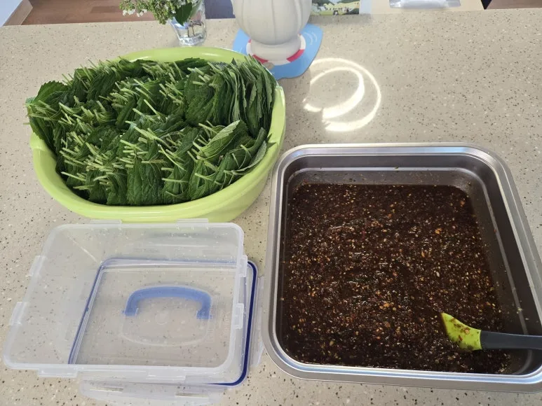 KakaoTalk_20250706_155758685_05.jpg?type=w773