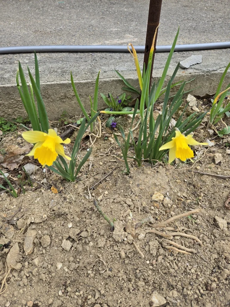 KakaoTalk_20250427_123918827_12.jpg?type=w773