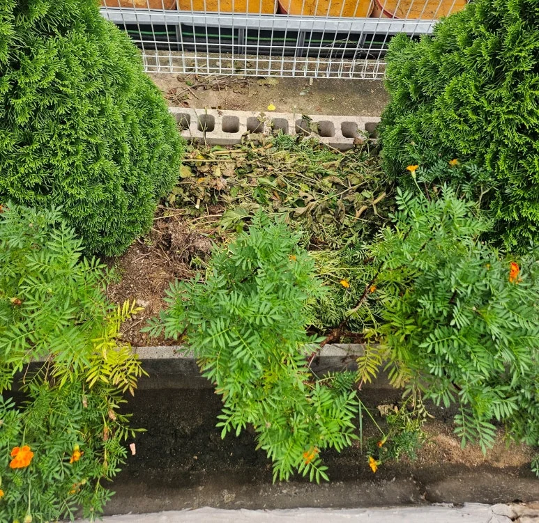 SE-220b1015-6cec-4784-acfe-3a42fbc26293.jpg?type=w773