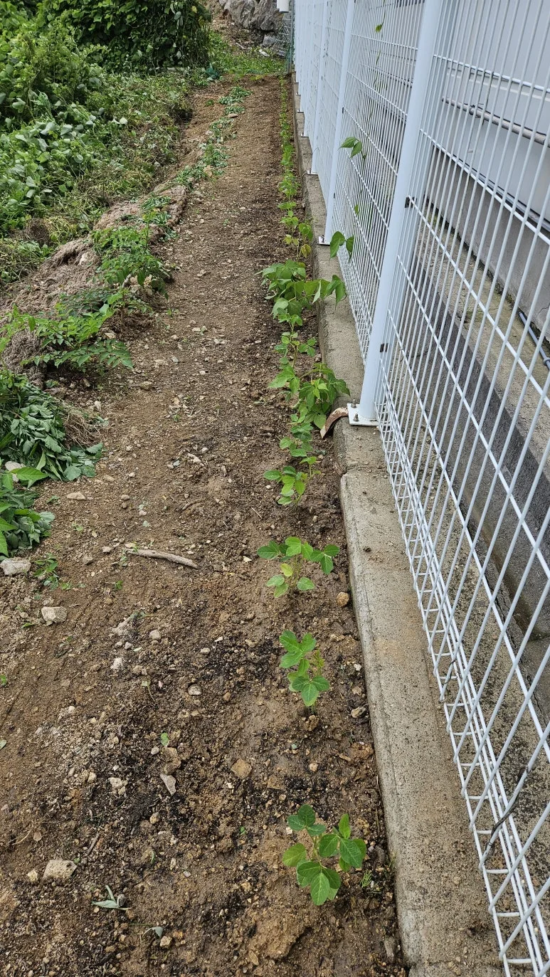 KakaoTalk_20240630_140727185_09.jpg?type=w773