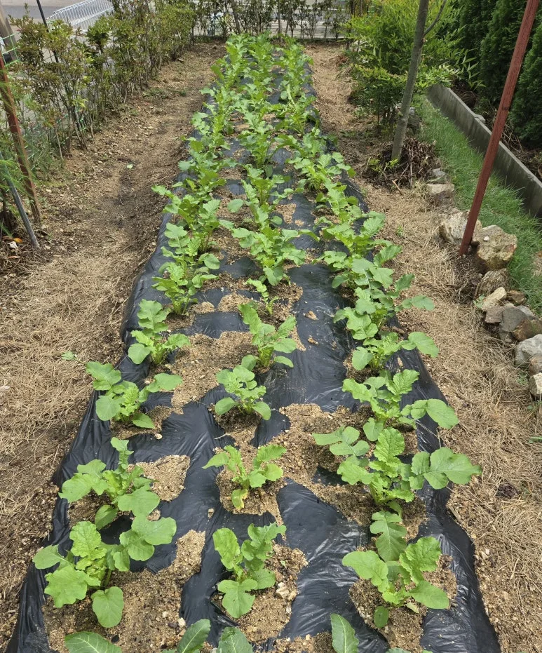 KakaoTalk_20240914_202250111.jpg?type=w773