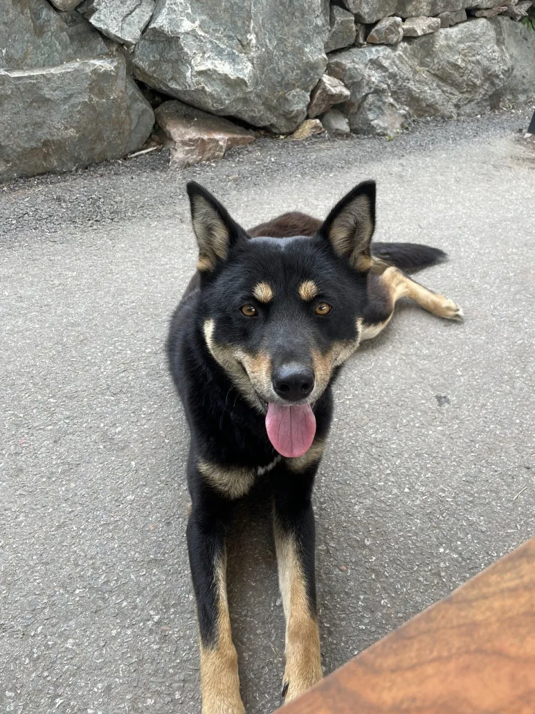 KakaoTalk_20251220_093411951_01.jpg?type=w773