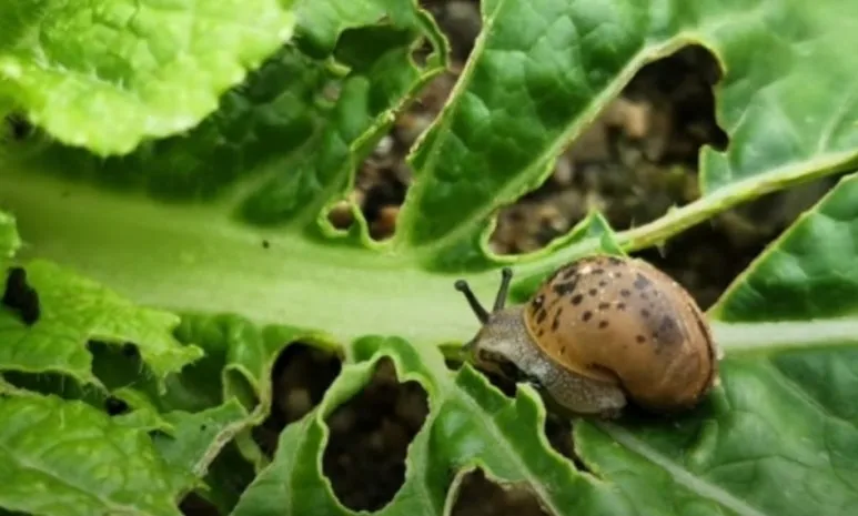 KakaoTalk_20251019_172038589_01.jpg?type=w773