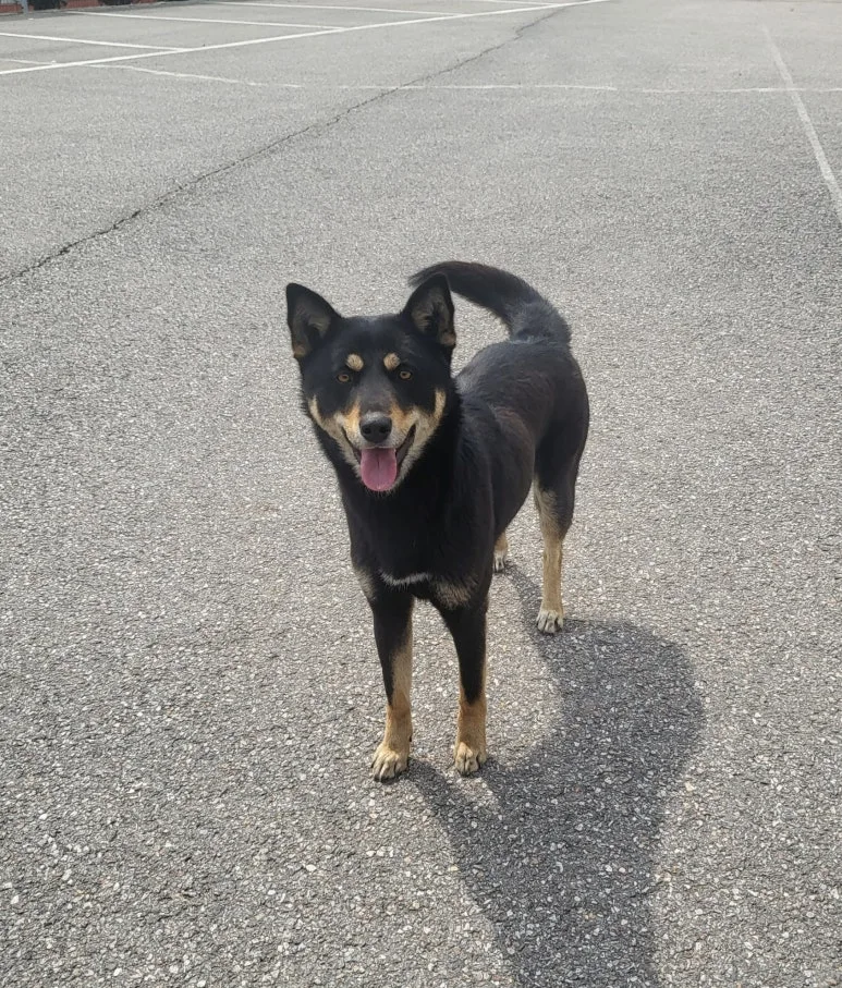 SE-0c42a027-70f0-4909-aef0-a6015019c3a9.jpg?type=w773