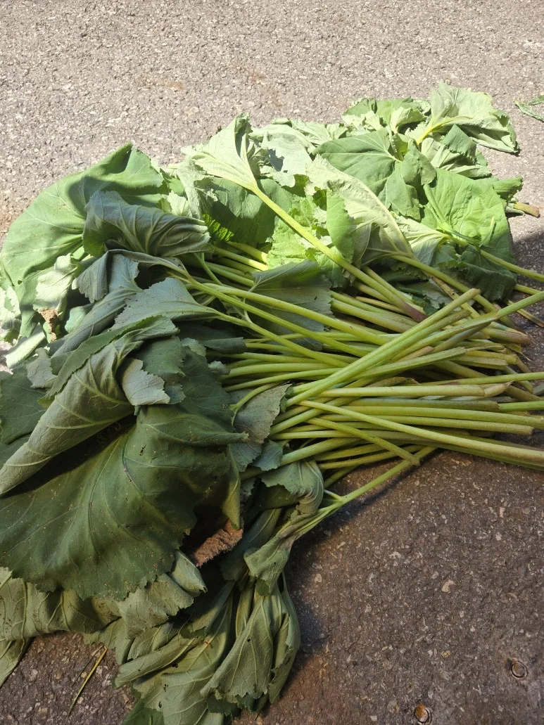 KakaoTalk_20250727_173346412_03.jpg?type=w773