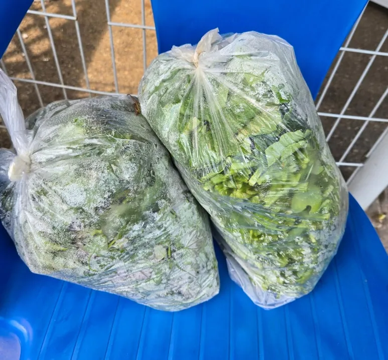 SE-1f242c70-be2d-4e94-b97e-d4af30baee1f.jpg?type=w773