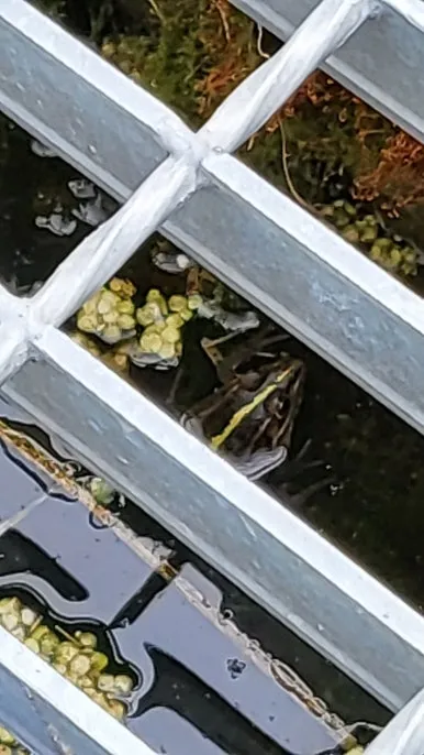 KakaoTalk_20240609_165820824_12.jpg?type=w386