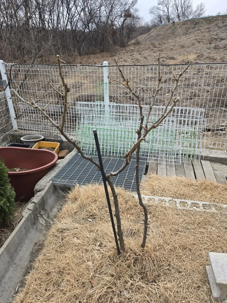 KakaoTalk_20250318_103705379_04.jpg?type=w773