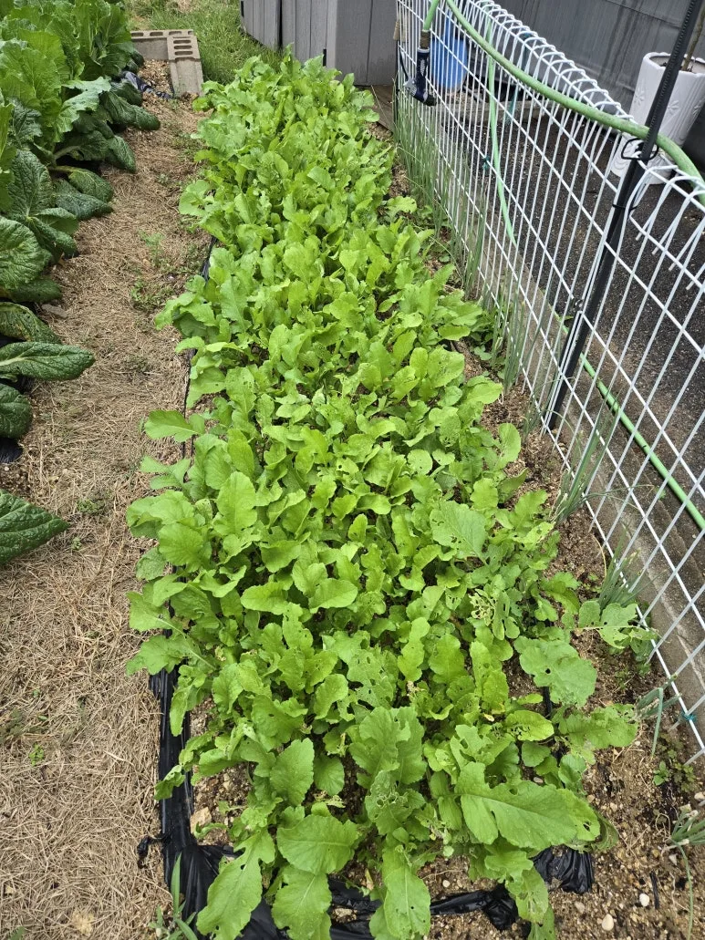 KakaoTalk_20241010_210747052_03.jpg?type=w773