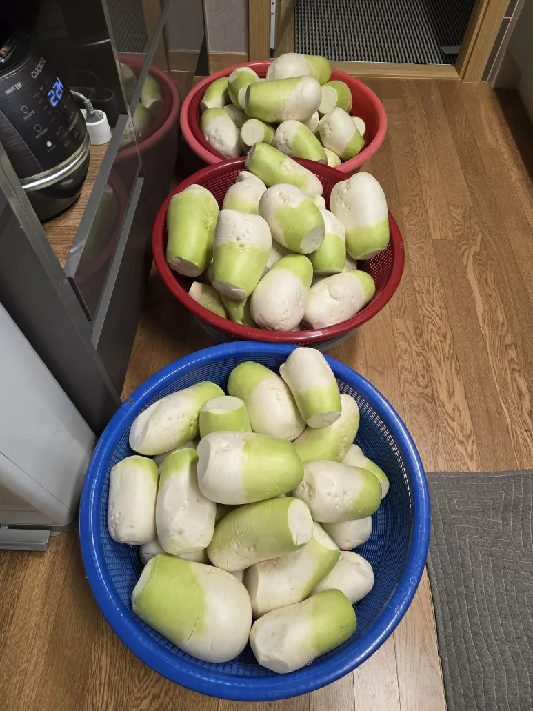 KakaoTalk_20241121_173517850_03.jpg?type=w773