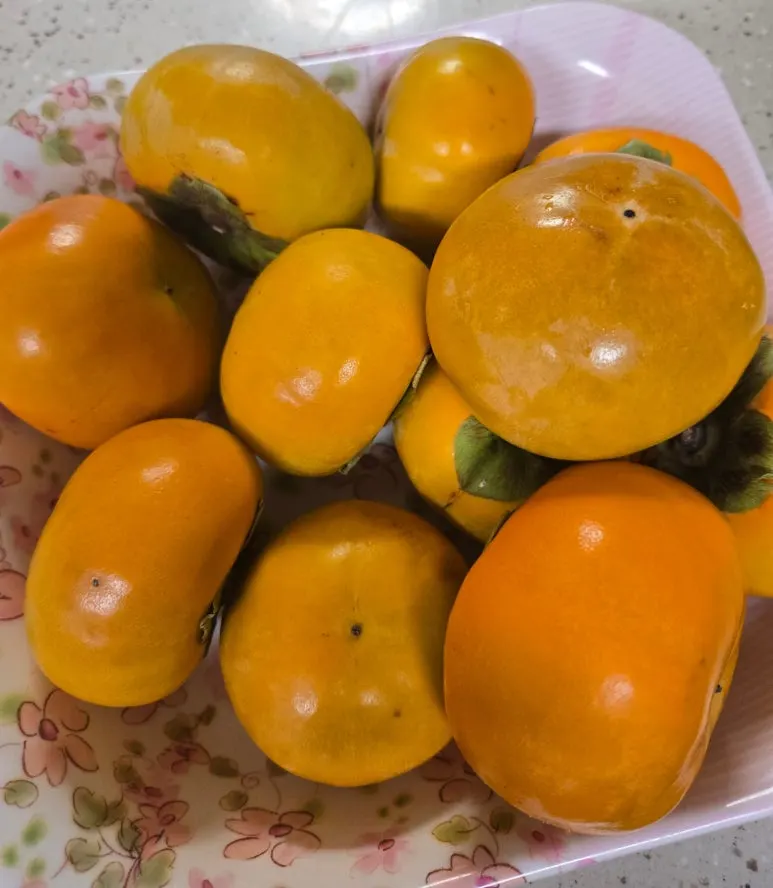 SE-1bd4b965-1723-4733-a839-8e89d51101f7.jpg?type=w773