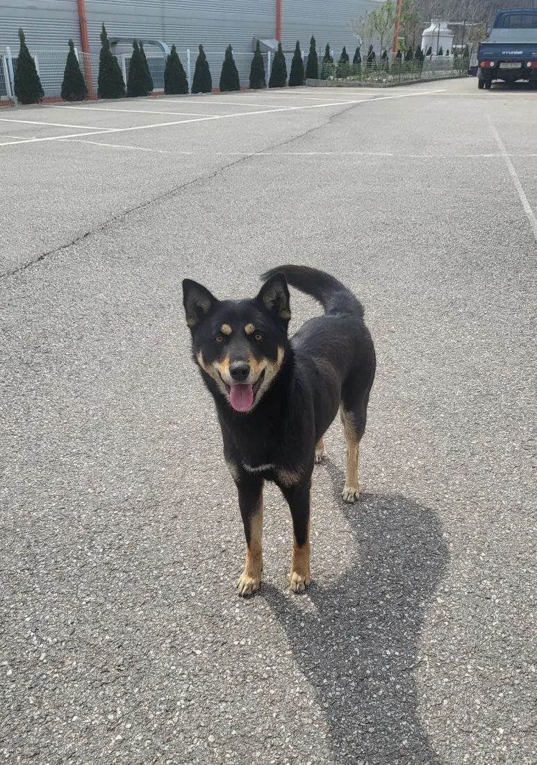 SE-03985769-6afc-45cb-8085-883aa024e560.jpg?type=w773