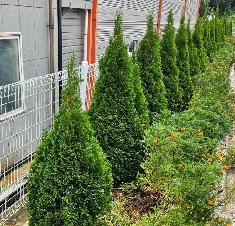 SE-838843b1-7282-4f8c-a927-589e77becf3c.jpg?type=w773