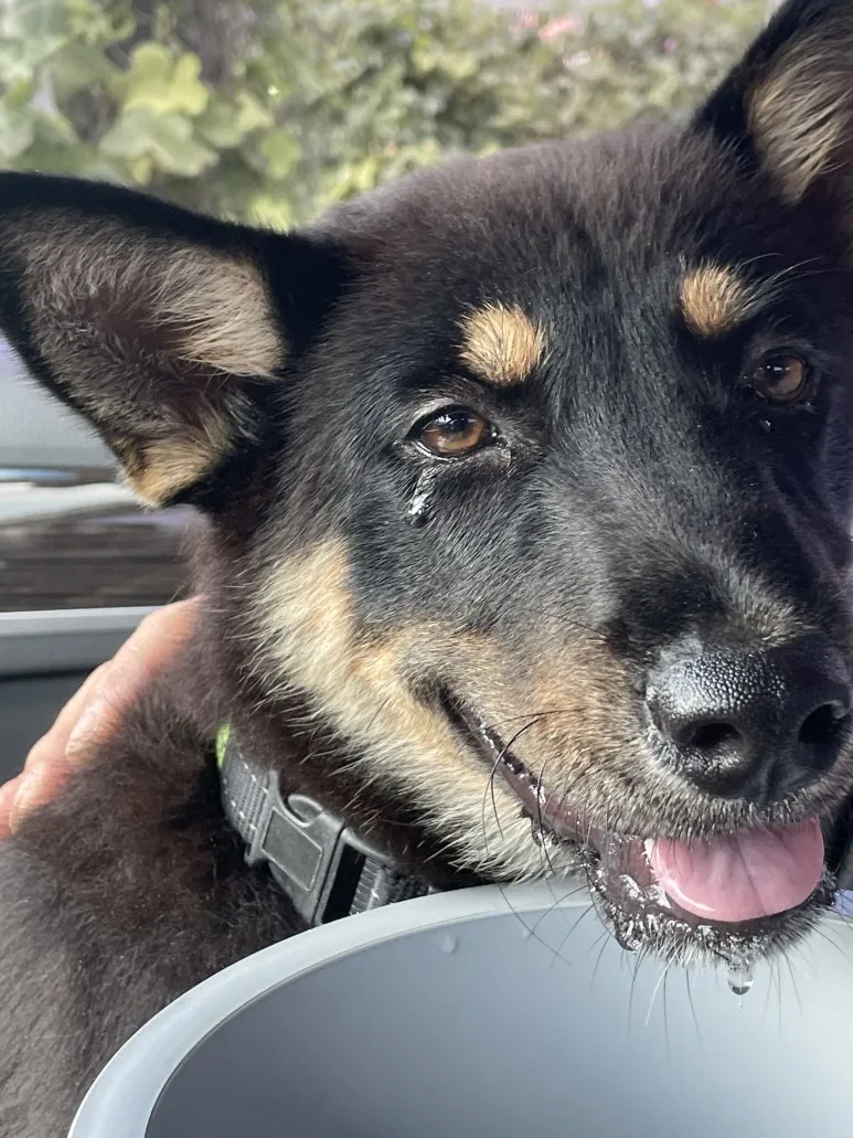 KakaoTalk_20240605_173054515_04.jpg?type=w773